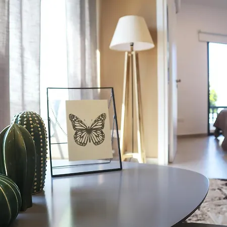 Taheli In Tourist Area * Paphos